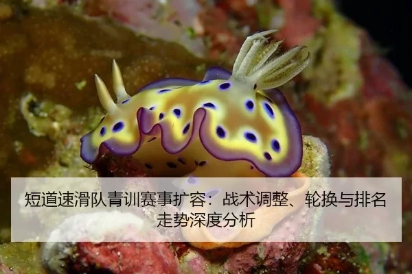 短道速滑队青训赛事扩容：战术调整、轮换与排名走势深度分析